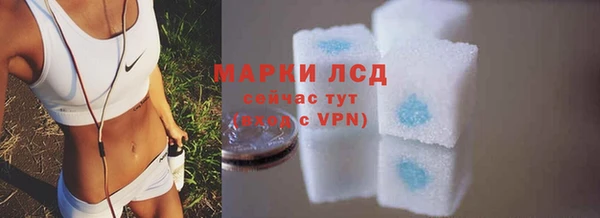 прущие грибы Арсеньев