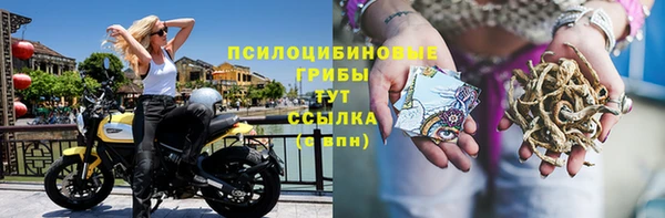 прущие грибы Арсеньев
