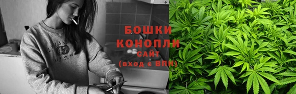 прущие грибы Арсеньев
