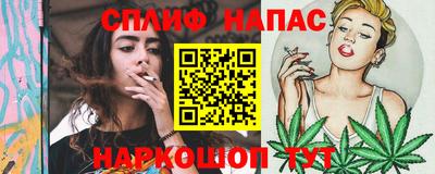 индика Беслан