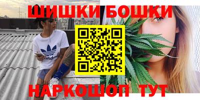 индика Беслан