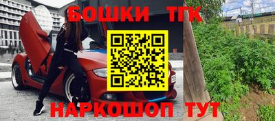 индика Беслан