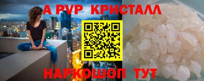 индика Беслан