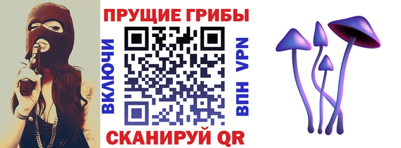 Псилоцибиновые грибы мухоморы  Баксан 