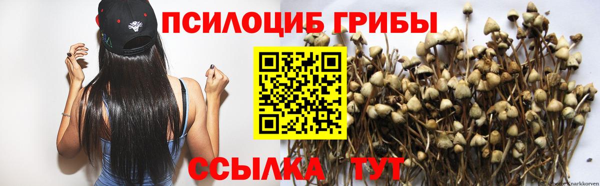Галлюциногенные грибы MAGIC MUSHROOMS  Псилоцибиновые грибы мицелий  Вход с VPN  купить наркоту  Баксан 